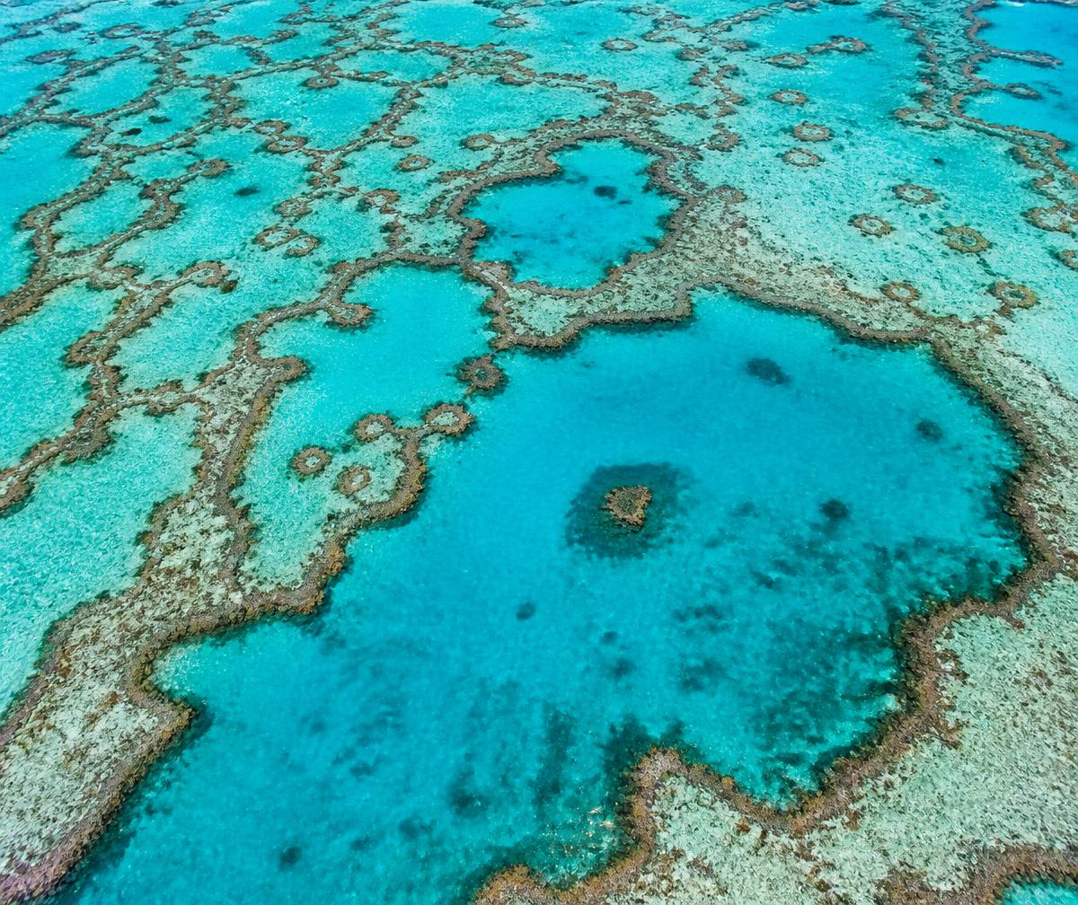 Aerial view of coral reef patterns